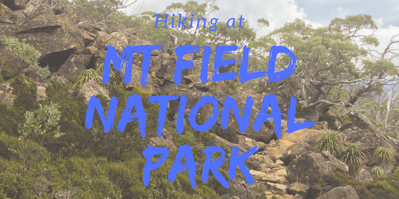 Hiking Mount Field National Park
