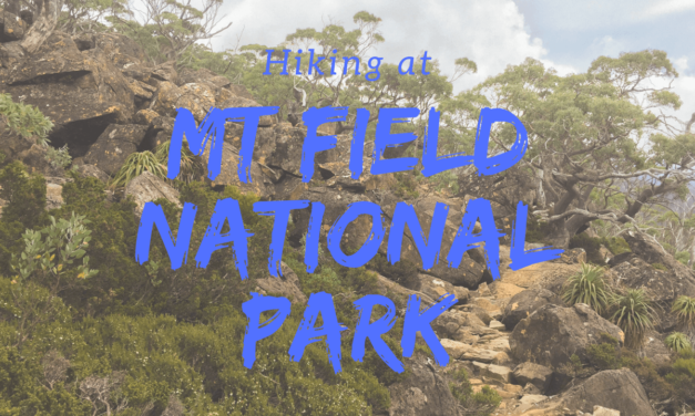 Hiking Mount Field National Park