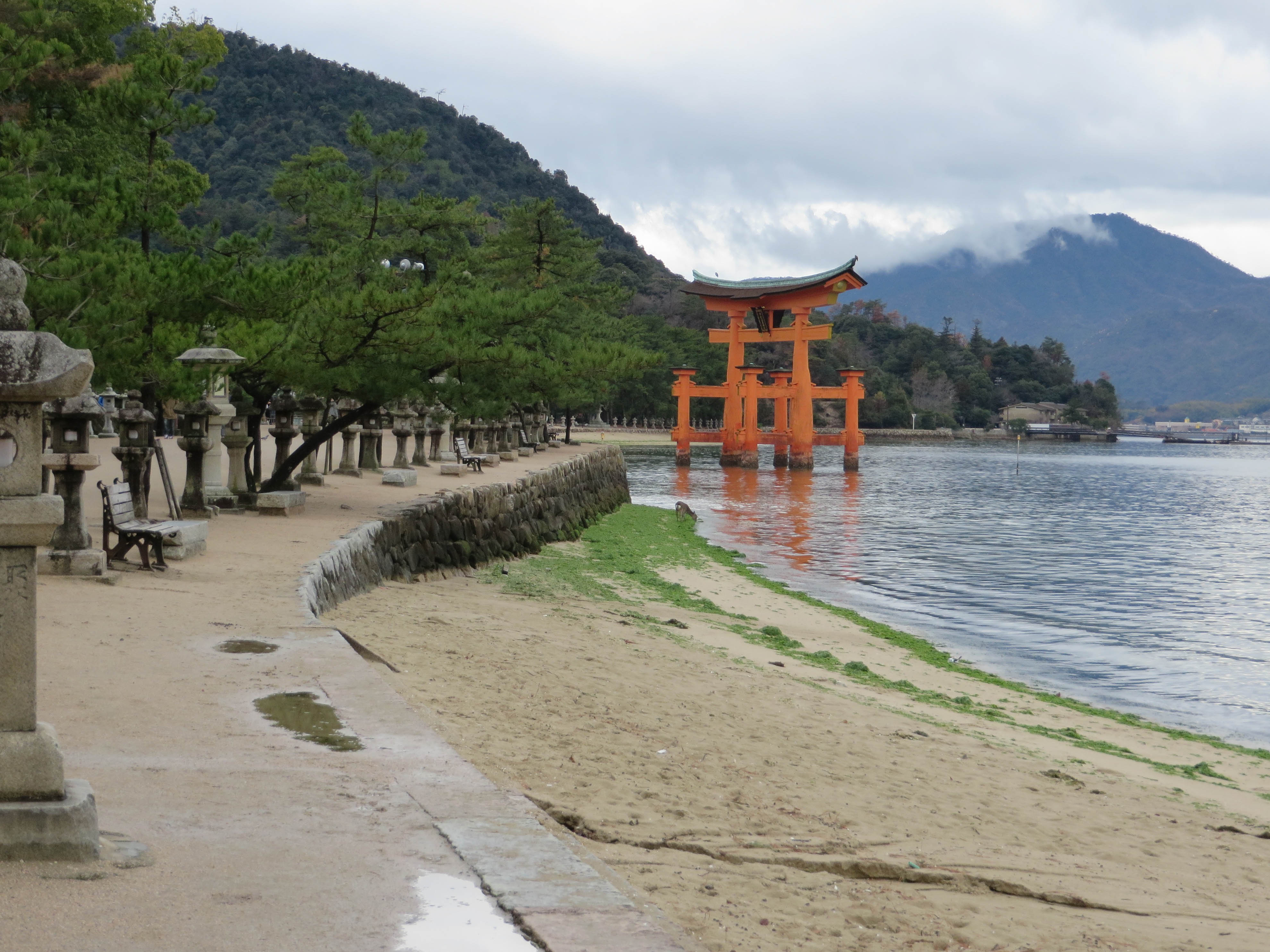 Miyajima Island: a must see destination when visiting Japan.