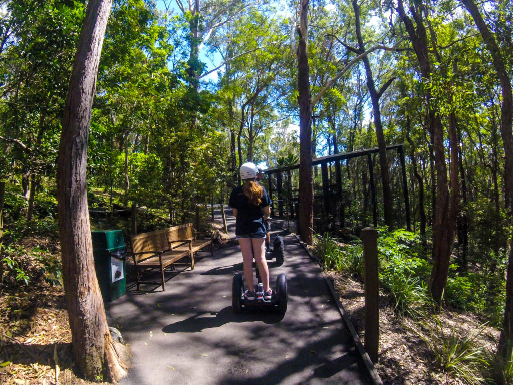 Qld Bucket List - Segway Tour - Currumbin Wildlife Sanctuary