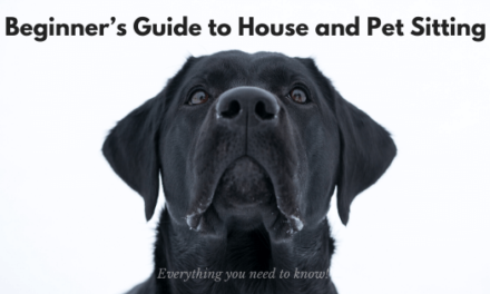 Beginner’s Guide to House and Pet Sitting: Everything you need to know!