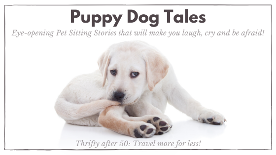 Puppy Dog Tales: Eye-opening Pet Sitting Stories that will make you laugh, cry and be afraid!
