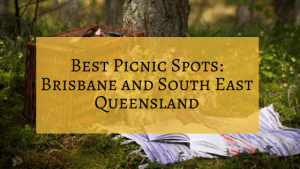 Best Picnic Spots Brisbane
