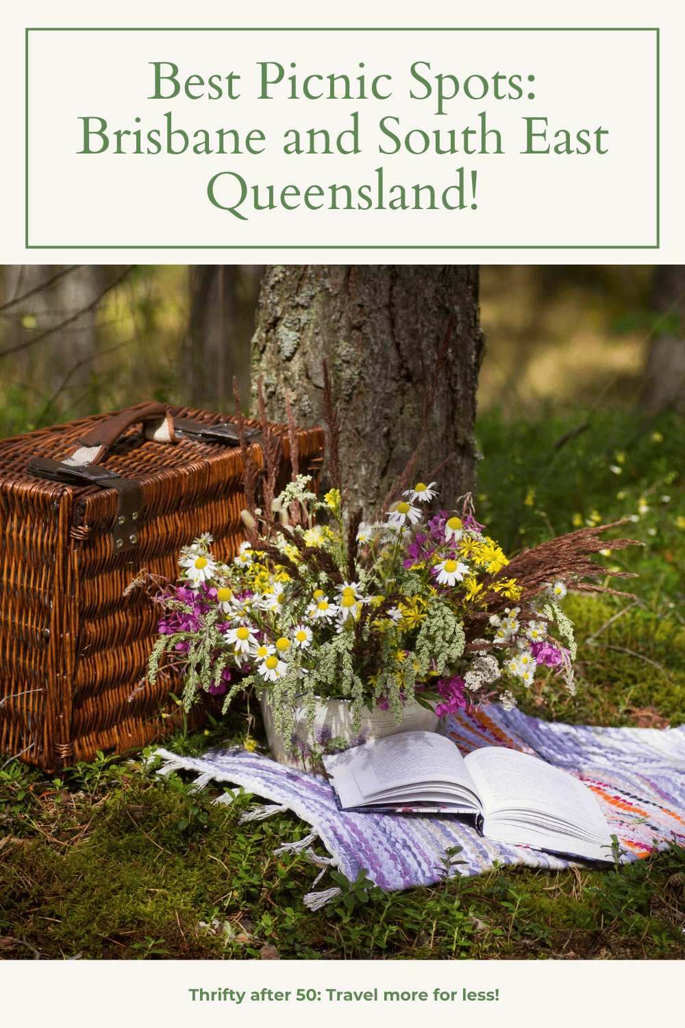 Best Picnic Spots Brisbane and South East Queensland