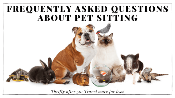 Frequently asked questions about pet sitting - Thrifty After 50