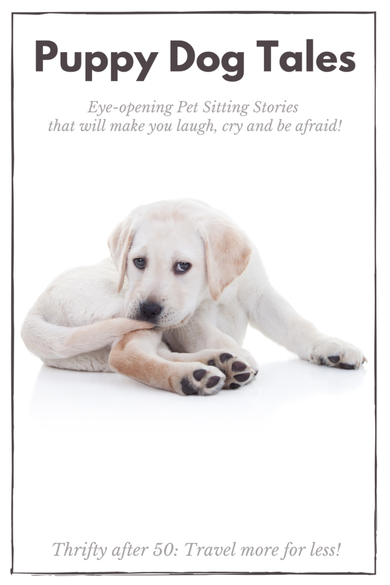 Puppy Dog Tales Eyeopening Pet Sitting Stories that will