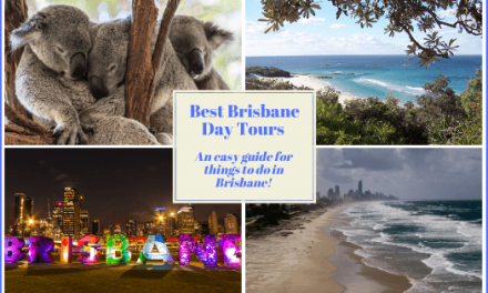Best Brisbane Day Tours: An easy guide for things to do in Brisbane
