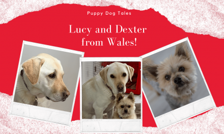 LUCY and Dexter from Wales